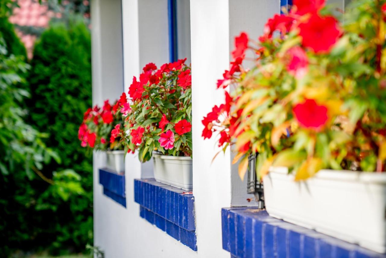 Bed and Breakfast Holistyczne Ujecie Kobyla Экстерьер фото