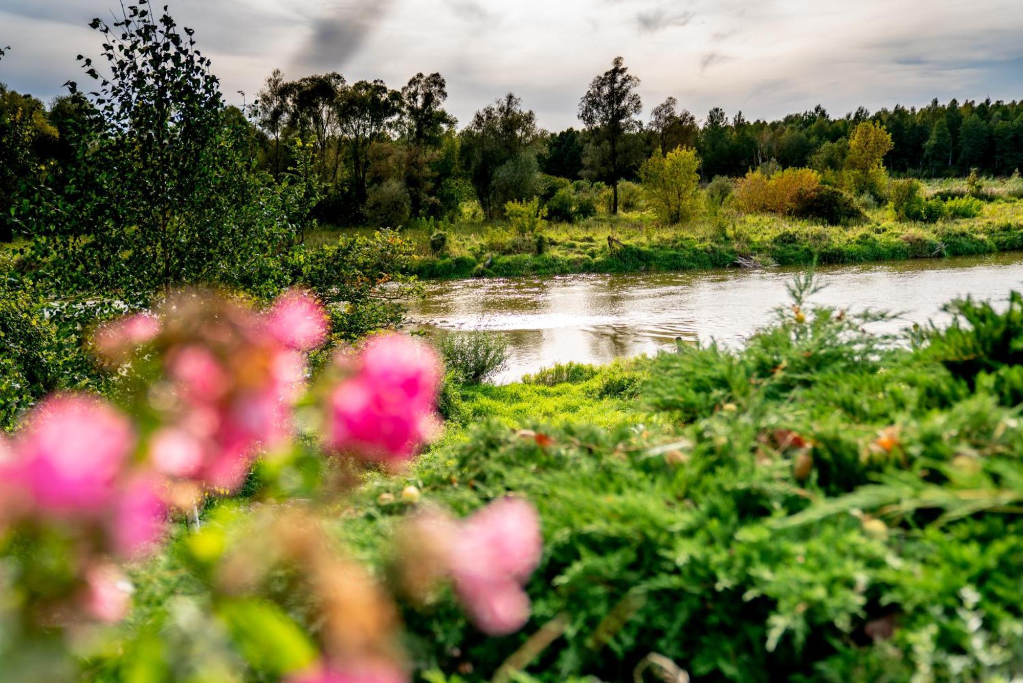 Bed and Breakfast Holistyczne Ujecie Kobyla Экстерьер фото